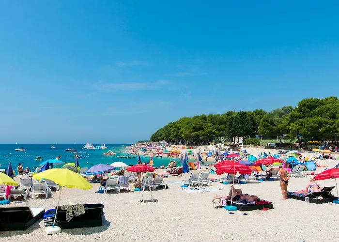 Lele 프리모스턴